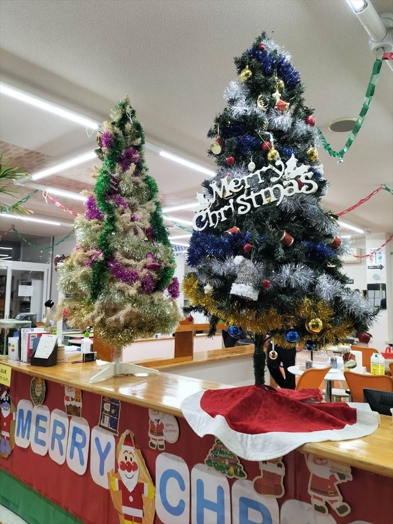 新潟市の英会話スクール「ラグビーボール英会話」でのクリスマスパーティー。クリスマスツリー！