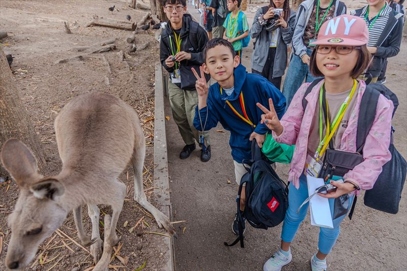 ケアンズの自然の中で課外活動を楽しむ子どもたち